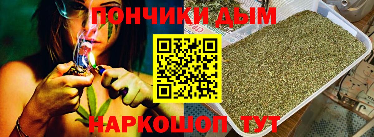 Канабис OG Kush Сочи